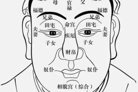 如何识别好命男命：八字与命理分析指南