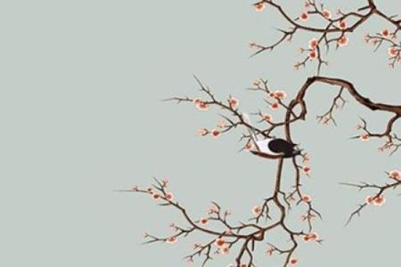 山头火命女人如何运用饰品提升运势？