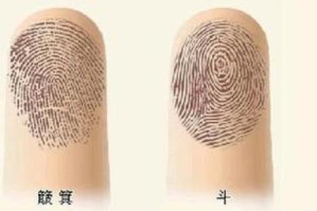 手指上的八个螺：解读八个螺的命运密码与生活智慧