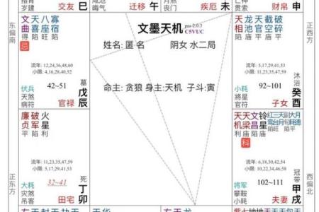 揭秘紫薇命格：适合哪些女性创造辉煌人生？