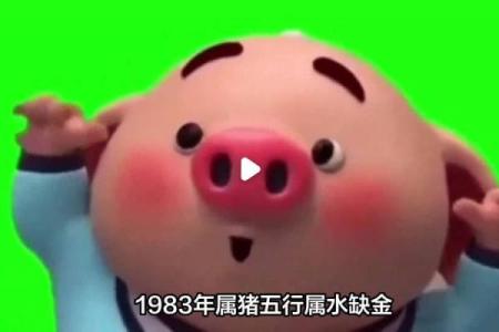 属金命的人戴什么木？探秘木与金的完美结合！