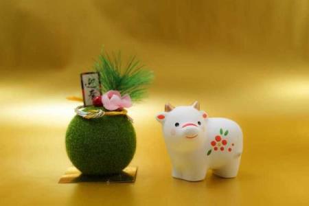 冬季出生的属虎之命：勇敢与聪慧的结合