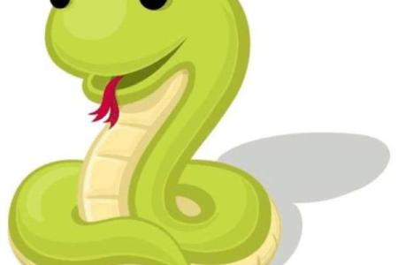 生肖蛇后面是什么命：深度解析蛇的后天命运及未来走向