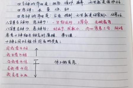 揭示命理奥秘：女命与男命的深意与影响