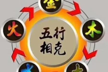 木命与哪些命不相配？探讨婚姻中的五行相克关系