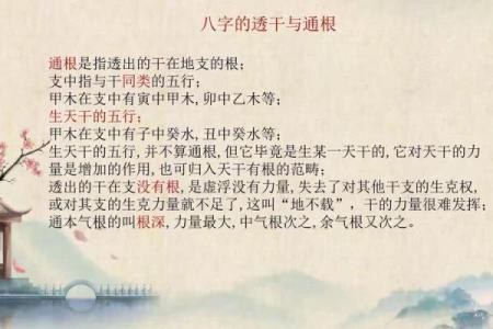 如何打造适合理科生的命局：科学与命理的完美结合