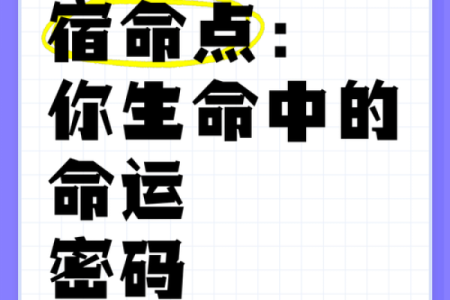 命理与地支三会：破解命运密码的智慧之旅