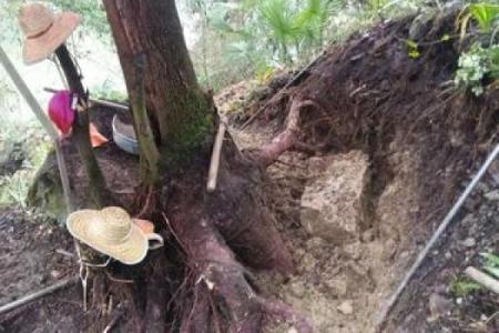 桑松木命最怕什么命？探秘命理世界的奥秘与平衡