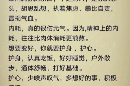 上等命的未时命理解析：探寻人生的财富与智慧