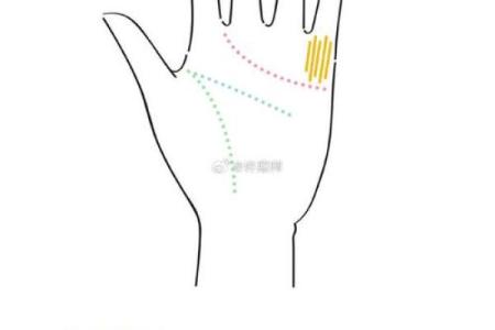 手上五条线的人，命运好到爆发的秘密解析！