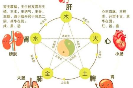 了解命理：相生与相克的命运之道