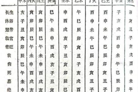 八字中金克木命的奥秘与人生影响解析