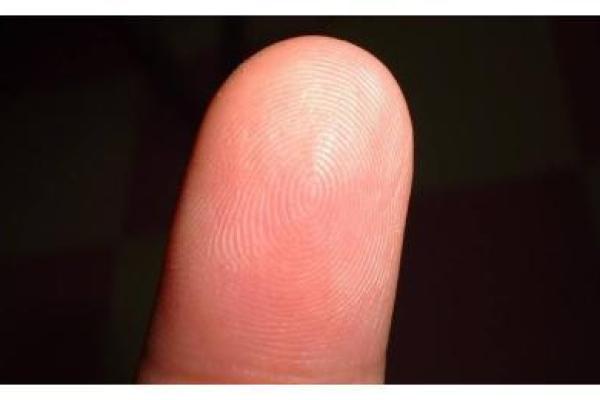 手指上的八个螺：解密你的命运与心理之旅