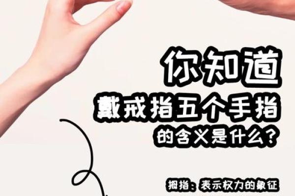 手指上的八个螺：解密你的命运与心理之旅