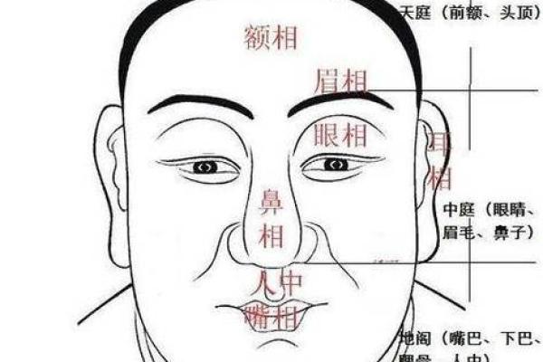 男人鼻头长痣的命运解读：从面相学来看你的人生轨迹！