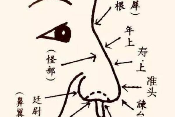 男人鼻头长痣的命运解读：从面相学来看你的人生轨迹！