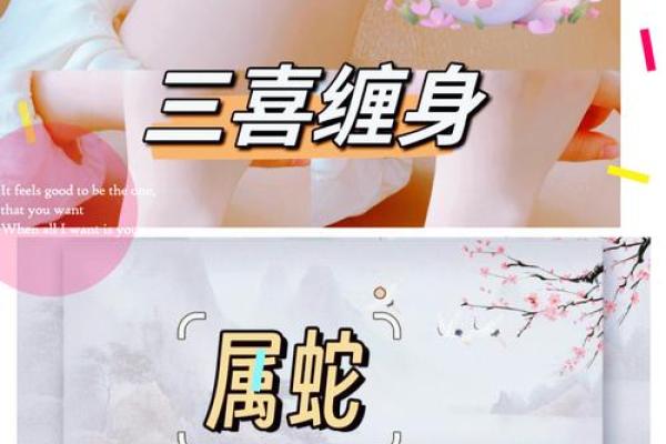 属蛇女人的五行命理分析：揭开神秘的命运之门