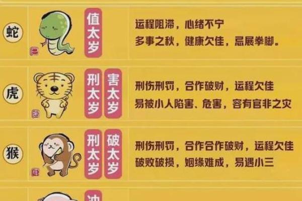 生肖命克揭秘：如何了解你的命理关系与相克？