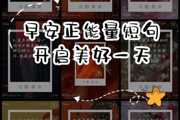 命弱但好运：如何在逆境中找到人生的闪光点