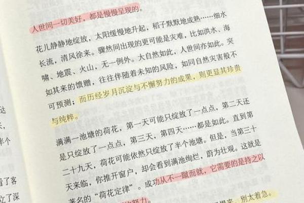 什么叫他的命没他命好:命运与机遇的真相探秘 什么叫他的命没他命好:命运与机遇的真相探秘
