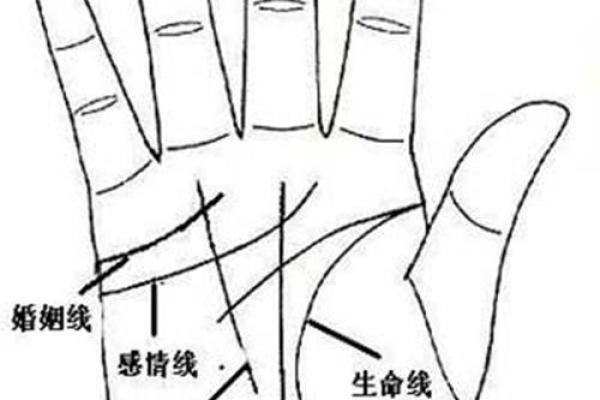 手上七个斗的女人，命运之路的独特解读与启示