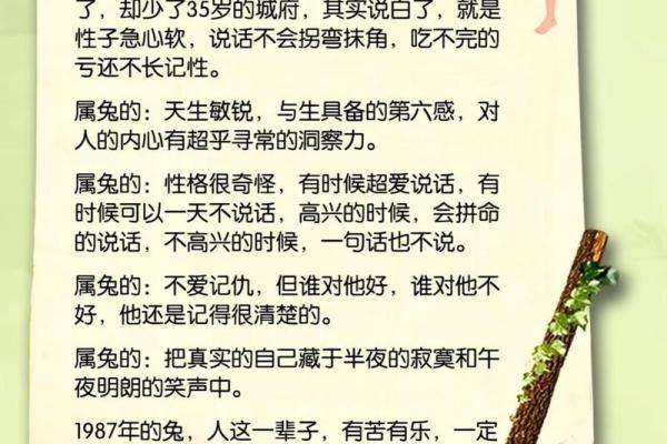 三十六岁属兔的人生秘密：命理解析与心灵成长之路