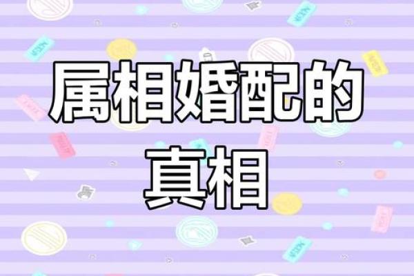 解读命运：土命与其他命格的最佳搭配