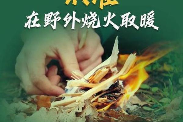 山头火木炭火命:探寻最怕的事物与应对之道 山头火木炭火命:探寻最怕的事物与应对之道