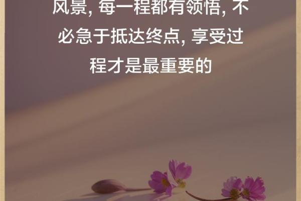 人生如命，岁月如梭：珍惜每一个当下的智慧与思考