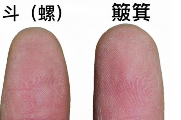 十个簸箕男性的命运解析:如何善用命理提升人生质量 十个簸箕男性的命运解析:如何善用命理提升人生质量