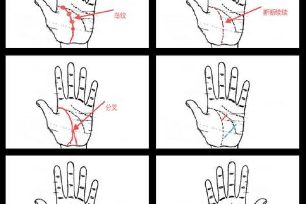 生命线横线解析:揭示生命的秘密与命运的转折点 生命线横线解析:揭示生命的秘密与命运的转折点