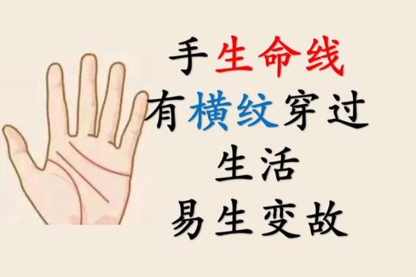 生命线横线解析:揭示生命的秘密与命运的转折点 生命线横线解析:揭示生命的秘密与命运的转折点