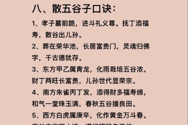 什么算一命什么算二命：命理与生存的深刻思考