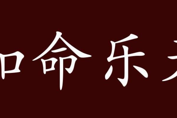 命运之重：胖瘦之间的辩证关系与成语解读