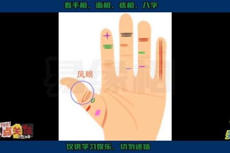 手粗手翘起来是什么命？揭示生活中的神秘密码