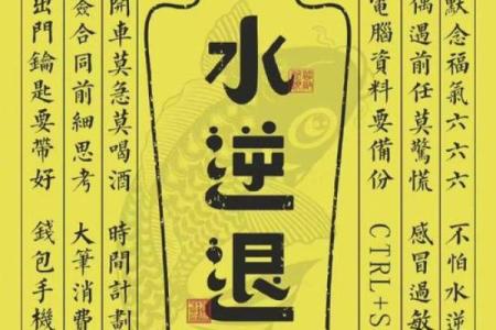 命弱但好运：如何在逆境中找到人生的闪光点