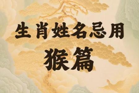 属猴19岁，什么命最具优势与发展潜力？