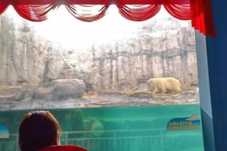 南天门上的旗帜：象征与意义的深度探讨