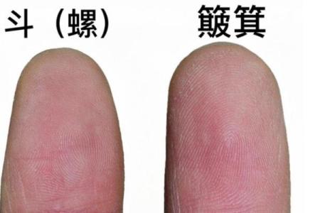 十个簸箕男性的命运解析：如何善用命理提升人生质量