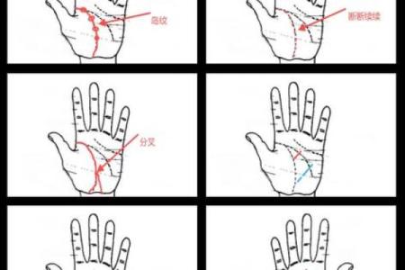 生命线横线解析：揭示生命的秘密与命运的转折点