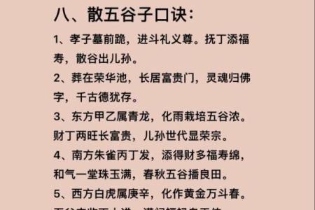什么算一命什么算二命：命理与生存的深刻思考
