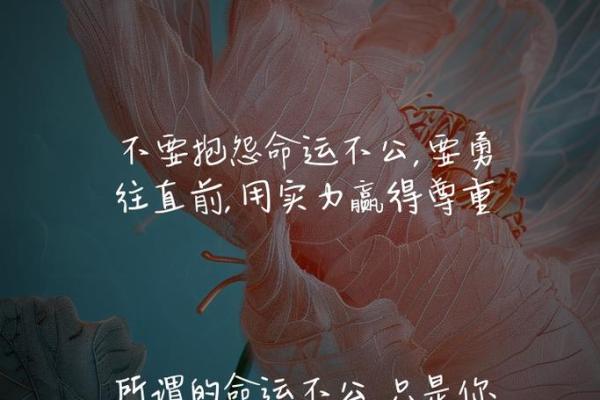 命由天定，还是掌握在自己手中？探讨人生的选择与命运