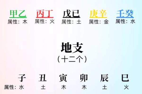 生辰八字解析：从命理看你的人生方向与运势强弱