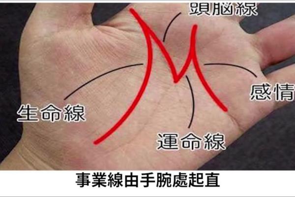 手心三角纹:揭示你潜在命运的神秘符号 手心三角纹:揭示你潜在命运的神秘符号