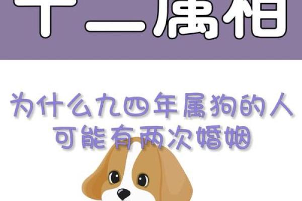 属狗人的年命与命理解析：如何把握人生运势