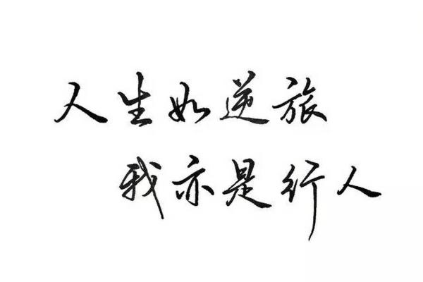 似命是命亦是命:人生的多重解读与哲思之旅 似命是命亦是命:人生的多重解读与哲思之旅