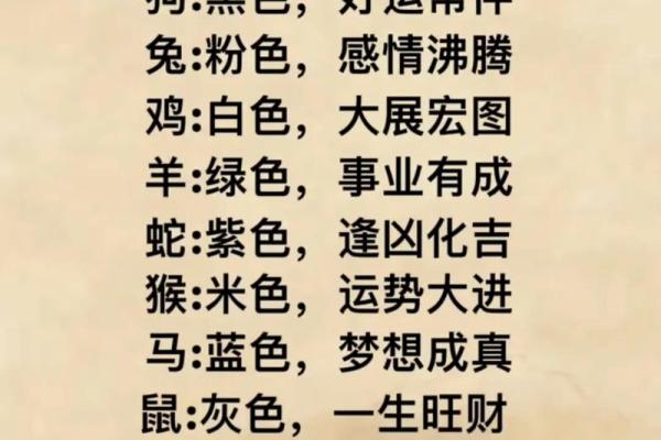 2023年兔子运势解析：探寻兔年命理背后的秘密与机会