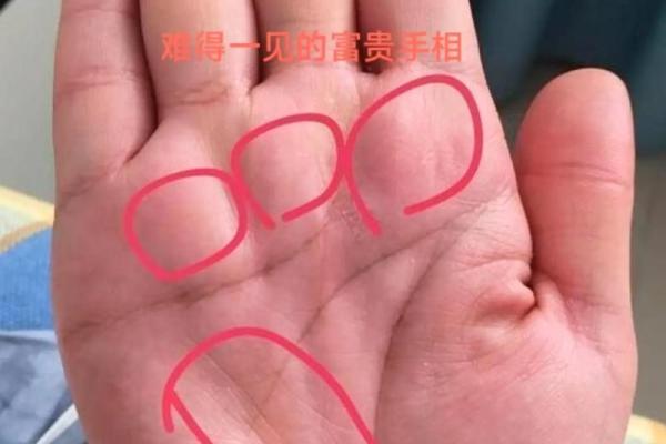 壬子年出生的人生运势与命格解析：揭开命运的神秘面纱