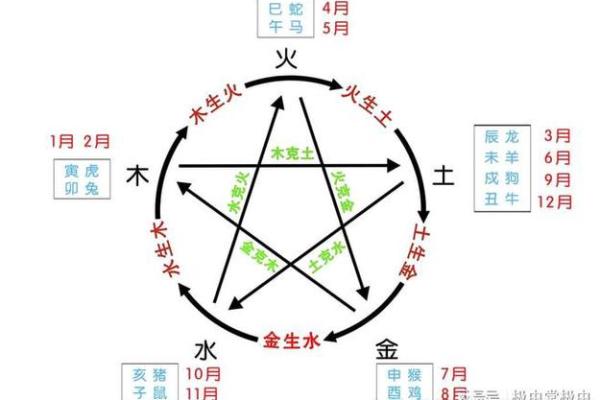 木命与火命、土命的合作关系解析