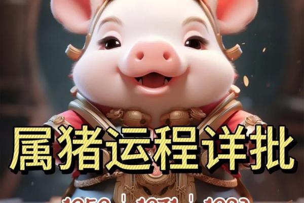 属猪的人是什么命?揭开他们的命运之谜! 属猪的人是什么命?揭开他们的命运之谜!